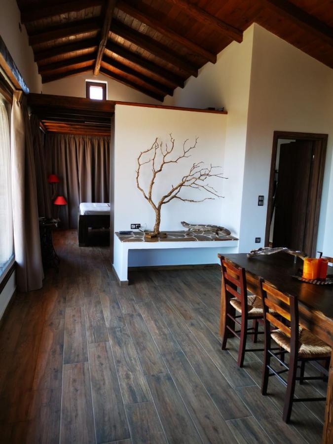 Casa Romantica Dom wakacyjny Petriaí